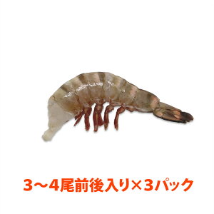 VREV[^CK[(Ki:6/8) 56`75g/ 3`4×3pbN