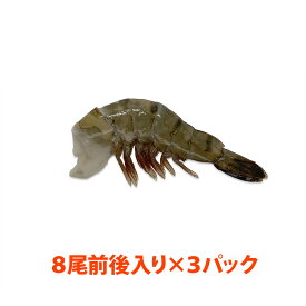 海水養殖ブラックタイガー(規格:16/20) 約25g/尾 7～9尾入り×3パック