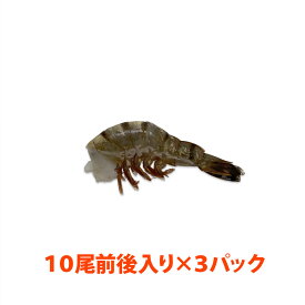 海水養殖ブラックタイガー(規格:21/25) 約20g/尾 9〜12尾入り×3パック