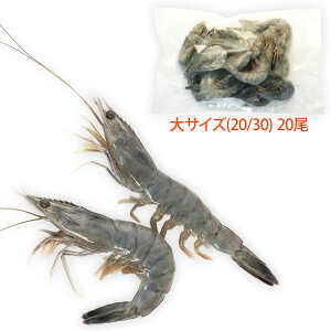 Vg̊CV TCY20(Ki:20/30)