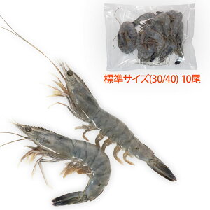 Vg̊CV WTCY10(Ki:30/40)