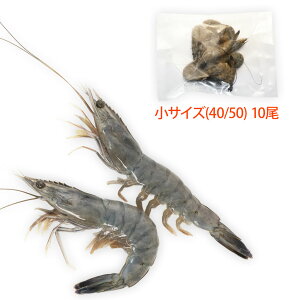Vg̊CV TCY10(Ki:40/50)