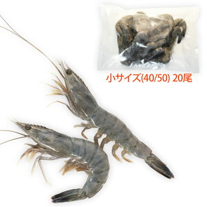 Vg̊CV TCY20(Ki:40/50)