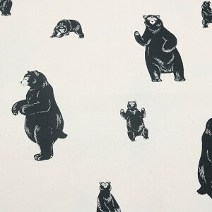 V@RXeLX^C@IbNXn@110cm@AP45110@col.1a/1b/1d/1e@100%@50cmPʐ؂蔄@܁@@Aj}