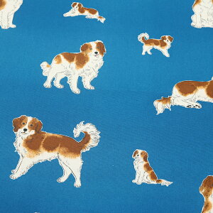 V@RXeLX^C@IbNXn@110cm@AP45110@col.2a/2b/2c/2d/2e@100%@50cmPʐ؂蔄@R[CPzfBG@ʁ@fRsƓ@@Aj}