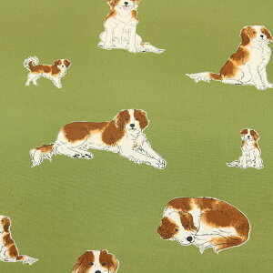 V@RXeLX^C@IbNXn@110cm@AP45110@col.2a/2b/2c/2d/2e@100%@50cmPʐ؂蔄@R[CPzfBG@ʁ@fRsƓ@@Aj}