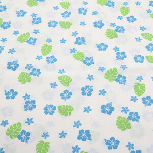 ݌ɕoi@RXeLX^C@V[`Ovgn@][g@nCA@AP4700@110cm@col.1A/1B/1C/1D@100%@痿vg@50cmPʐ؂蔄