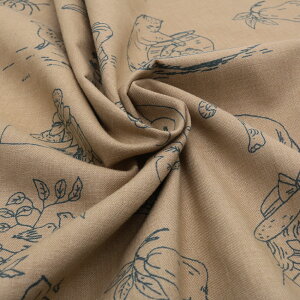 t`WFl@French General@13611-13@Petite Odile@110cm@100%@50cmPʐ؂蔄