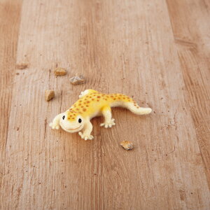 n}iJ@hamanaka@rуLbg@j[htFgłqEgJQhL@H441-603