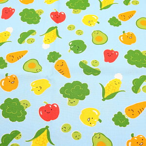 V[`On@V[`O@vg@ؕ@₳@ST2909@col.4A/4B/4C/4D@110cm@100%@50cmPʐ؂蔄