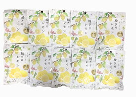 ドライフルーツ　国産輪切りレモン　24g×10袋　南信州菓子工房　小袋タイプ　持ち運びに便利
