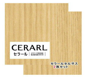 �A�C�J�H�� �A�b�V���� ���� FTN2001ZN �Z���[���Z���T�X�^�C�v 3×8(3×935×2 455mm)�T�C�Y 2����