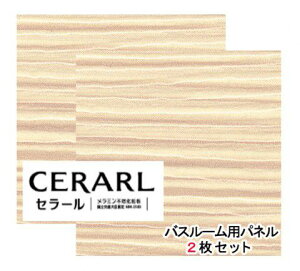 ACJH V_[  FYA2552ZGN Z[oX[p 3×8(3×935×2 455mm)TCY 2ysz