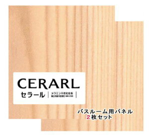 ACJH V_[  FYA544ZGN Z[oX[p 3×8(3×935×2 455mm)TCY 2ysz