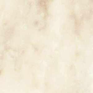 ACJH ە FYAA1827ZMN Z[oX[p 3×8(3×935×2 455mm)TCY ysz