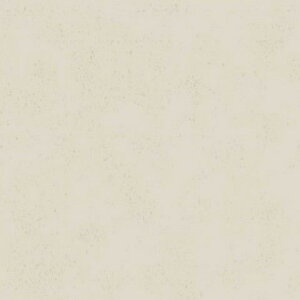 ACJH ە FYAA1896ZMN Z[oX[p 3×8(3×935×2 455mm)TCY ysz