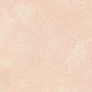 ACJH ە FYAA1964ZMN Z[oX[p 3×8(3×935×2 455mm)TCY ysz