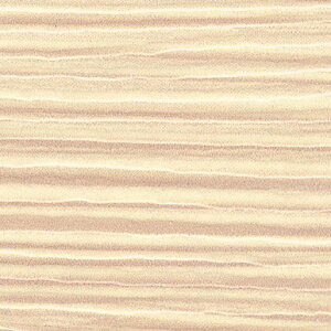 ACJH V_[  FYAA2552ZGN Z[oX[p 3×8(3×935×2 455mm)TCY ysz