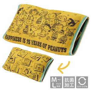  Xk[s[ ̂т̂іJo[ 64×34cm ^In RۉH o[Vu ܂Jo[ 43cm×63cmΉ 킢  LN^[ EbhXgbN `[[uE