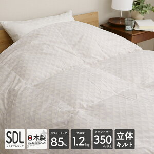 Hѕzc Z~_uO 170×210cm zCg_bN_E85 1.2kg GNZS[hx 350dpȏ ̃Lg ~p { [P[Xt y  ݌ɏ AEgbg 