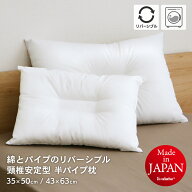頸椎安定型半パイプ枕 がわサイズ 43×63cm 35×50cm ポリエステルわたとパイプのリバーシブル 洗える枕 …