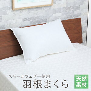 H 43×63cm zedl̉H܂ zeCN D's collection