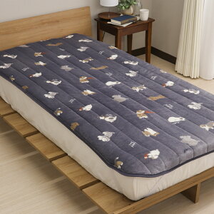 Zbgi pbhZbg ~pbh VOTCY 100×200cm { pbh 43×63cm ̃Zbg tl ^Cv 􂦂 \ g  g  I
