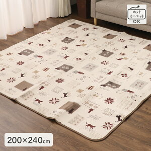 ӂZ^[O 2TCYWJ 185×185cm 200×240cm mfBbNLbg H g[ zbgJ[ybgΉ  킢   IV L ˂