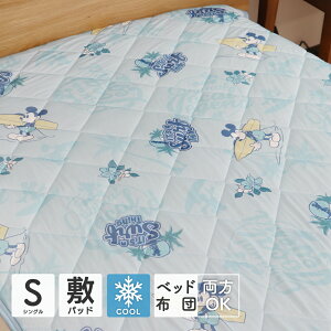 ylzfBYj[fUC ڐG⊴~pbh VOTCY 100×205cm ʃpCn N[ ⊴   tėp  IV 2WJ T[t ~bL[}EXhih 20