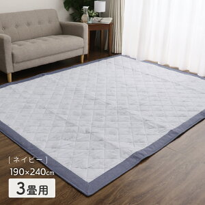 ylzڐG⊴LeBOO g[t[ [XLg 2TCYWJ 185×185cm 190×240cm QMAX0.3 킢   IV  Ђ ԕ tėp 2025SS DSR251