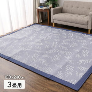 ylzڐG⊴WK[hO 2TCYWJ 185×185cm 190×240cm WK[hD  Q-max0.31 킢   IV tėp 2025SS DSR253 [t