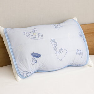 ylzЂ⊴pbh 45×55cm Jo[ 35×50cmE43cm×63cm̖Ή  킢 IV  tėp DSPP-254 JtFxA