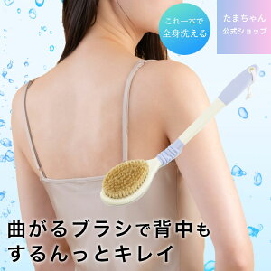 {fBuV w ȂuV lbN wPA pi  _炩 \tg { Ȃ{fBuV w􂢃uV  lbNuV Cp ̐􂢃uV 肪͂ w