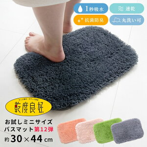 ylR|Xz1000~|bL xǍD oX}bg sR 30×44cm ( C }bg ~jTCY  z  􂦂  i     @}bg O 