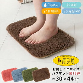 ＼最大1,000円OFFクーポン★お買い物マラソン／1000円ポッキリ 送料無料 バスマット乾度良好ピコ 約30×44cm ( お風呂 マット ミニサイズ 速乾 吸水 干し 洗える お試し 価格 お買い得 安い 小さめ おしゃれ 足拭きマット ラグ 風水 足拭きマット かわいい ポイント消化 )