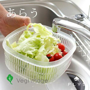 ؕۑe xW}W 炤 iM[TCYj ( ؕۑP[X ؕۑ  ۑ P[X U R_[ {E  ؂ Zbg Lb`pi  ۑe vX`b