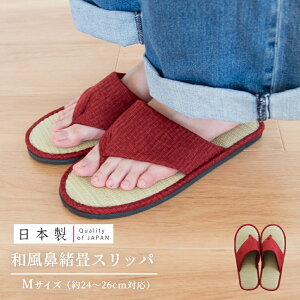 { a @Xbp MTCY ( Xbp   Y ėp   [V[Y  a @ 킢 v[g Mtg bh a   M fB[X Y  