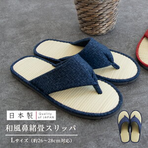 { a @Xbp LTCY ( Xbp   Y ėp   [V[Y  a @ v[g Mtg hV̓ u[ a   fB[X Y  z