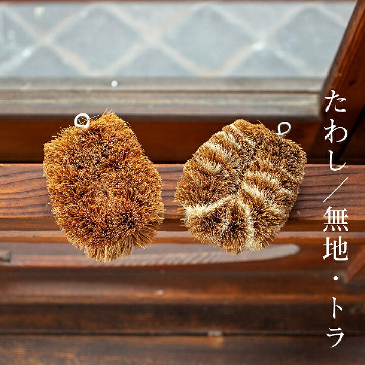 楽天市場】パームたわし 1個入り (たわし 亀 おしゃれ かわいい パーム 
