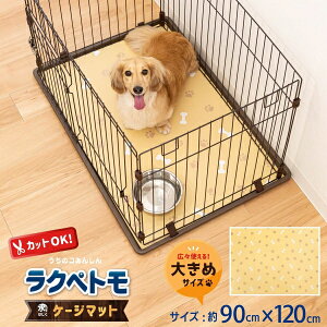 y撅20l聚20OFFN[|I10/4 20`zNyg @ P[W}bg 90x120cm ( Q[W }bg T[N ybgp ͂ {Eu}bg p L @ rj[ Hׂڂ 