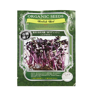 yxW}WĂƂ̍킹ɁzyL@qzXvEg̎( XvEg  V[h ƒ؉ ͔| k͔|  I[KjbN ԃLxc pN`[ oW Ђ܂ ubR