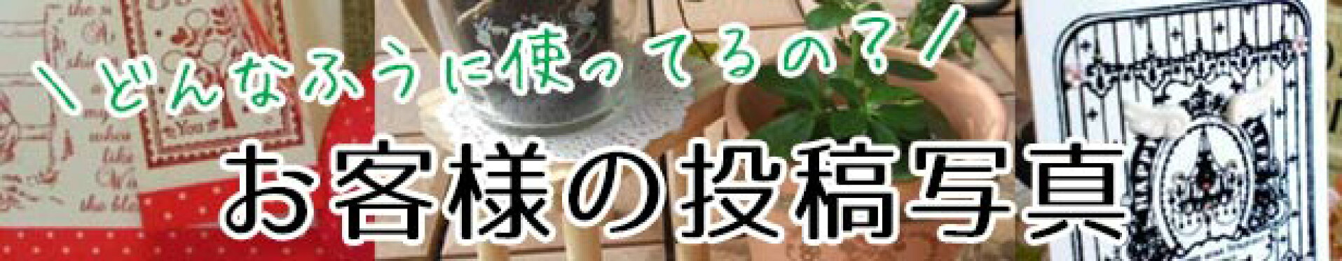投稿写真