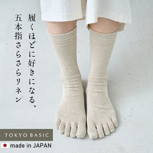 [ { ܖ{w\bNX fB[X R L ėp ] ޗǂ̌C l 5{w\bNX 22.0`25.0cm / l\bNX C X|[c oR wl  Ȃ   ܖ{wCy