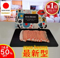 楽天1位　数量限定1点目30%オフ　2点目50％オフクーポン　解凍プレート　家事ヤロウ　cesa beamsテレ東で…