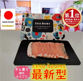 cesa beams　テレ東で紹介された　1個目1000円オフクーポン　最新モデル 3.2mm正規品　解凍プレート 急速解凍　冷解食品解凍　家庭用 自然解凍 急速 解凍 冷凍食品対応　業務用 解凍プレート　まな板 粗熱　かっぱ橋道具街