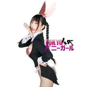 【大きいサイズ】バニーガール衣装 大きいサイズ 9点セット【ダークピンク】プレーン バニー衣装・裏地付