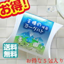 お得サイズ！【送料無料　王様のヨーグルト　種菌　(3g×5包)】カスピ海ヨーグルト　ケフィア　とは違う新しい　ヨー…
