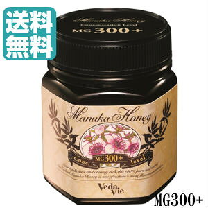 y}kJnj[@MG300+i250gjz}`t[}kJnj[@MG300{@ij[W[hYj@VedaVie Manuka Honey@F[_B}kJnj[@KiAi@@sAXI@n