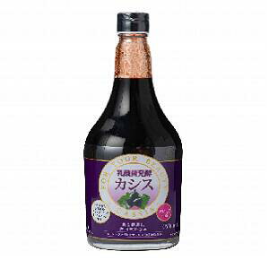 Ԍ@@Wt}bN _۔yJVX 565ml@ _ۂŉʎ𔭍yI@JVX𖡂킦܂Iy@y@JVX