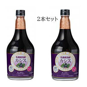 @2{Zbg@Wt}bN_ yJVX 565ml@ ʎy VRy@ŉʎ𔭍yI@JVX𖡂킦܂I@VRy@y@y@JVX